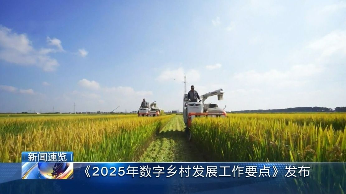 《2025数字乡村发展工作要点》出炉，为数字乡村建设指明了方向